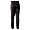  the north face Reaxion Fleece Jogger W