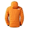 Chaqueta the north face Dawn Turn 50/50 Synthetic