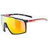 Gafas uvex Mtn Perform