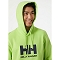  helly hansen HH Logo Hoodie