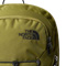  the north face Rodey