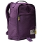  the north face Berkeley Daypack