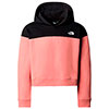 the north face Drew Peak Crop Pullover Hoodie Girl