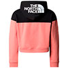  the north face Drew Peak Crop Pullover Hoodie Girl