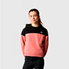  the north face Drew Peak Crop Pullover Hoodie Girl