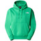  the north face Essential Hoodie W PO8