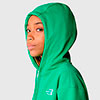  the north face Essential Hoodie W