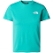 Camiseta the north face Teen S/s Simple Dome Tee PIN
