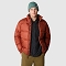  the north face Down Paralta Puffer