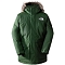  the north face McMurdo Jacket