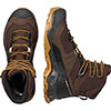  salomon Quest Element Gtx