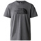 the north face  Easy Tee DYY