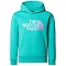 the north face  Drew Peak Pullover Hoodie Boys PIN