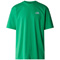 Camiseta the north face Oversize SS Simple Dome Tee PO8