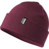 Atomic Alps Rolled Cuff Beanie-Maroon