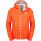 Chaqueta the north face Thermoball Hoodie