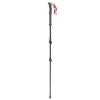 Bastones robens Ambleside C66 Telescópicos 3 Seg.Par