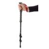 Bastones robens Ambleside C66 Telescópicos 3 Seg.Par