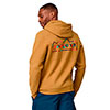 Sudadera patagonia Unity Fitz Uprisal Hoody