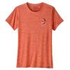 patagonia  Capilene® Cool Daily Graphic Tee W GSPX