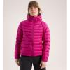 Striukė arc'teryx Cerium Hoody W