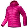 Striukė arc'teryx Cerium Hoody W