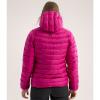 Striukė arc'teryx Cerium Hoody W