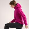 Striukė arc'teryx Cerium Hoody W