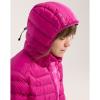 Striukė arc'teryx Cerium Hoody W