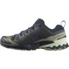 salomon Hiking Shoes XA PRO 3D V9 Indink/Olvnig/Aloewa