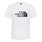Camiseta the north face Easy Tee FN4