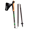  gabel FLD Carbon