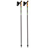  gabel FLD Carbon