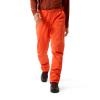 arc'teryx  BETA PANT M Solaris