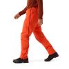 arc'teryx  BETA PANT M Solaris