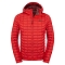 Chaqueta the north face Thermoball Hoodie