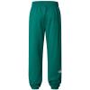  the north face Essential Jogger W