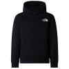  the north face TEEN BOX NSE REGULAR PO HO Slate Moss/Ne JK3