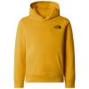  the north face TEEN BOX NSE REGULAR PO HO Slate Moss/Ne 56P
