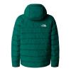  the north face Reversible Perrito Hooded