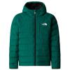  the north face Reversible Perrito Hooded