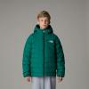  the north face Reversible Perrito Hooded