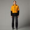  the north face Jazzi Gtx 3L Pant W