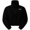 the north face  Glacier 100 Half Zip Fleece W