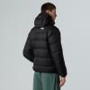  the north face Hydrenalite Down Hoodie