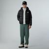  the north face Hydrenalite Down Hoodie