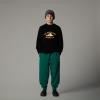 the north face  Teen Varsity Graphic Relaxed Crew