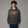 Sudadera the north face Hoodie Varsity Graphic