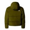  the north face North Down Hooded Jacket Girl