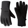  the north face Apex Insulated Etip Glove DYZ